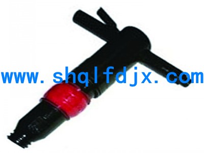 conew_g20風(fēng)鎬.jpg